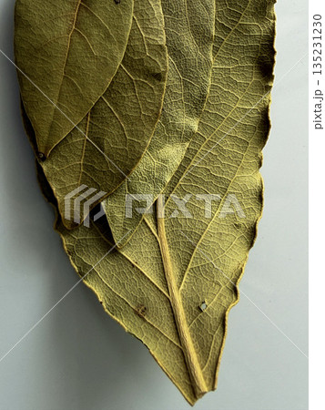 Stacked Bay Leaves Flat Lay on White Background Stacked Bay Leaves Flat Lay on White Background 135231230