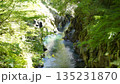 新緑に包まれた滝 135231870