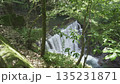 小さな滝 135231871