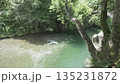 緑の木々に囲まれた川 135231872