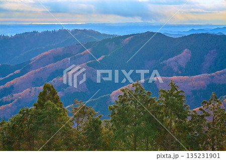 東京都八王子市と神奈川県相模原市にまたがる景信山の頂上から南東側の高尾山や江の島方面 東京都八王子市と神奈川県相模原市にまたがる景信山の頂上から南東側の高尾山や江の島方面 135231901