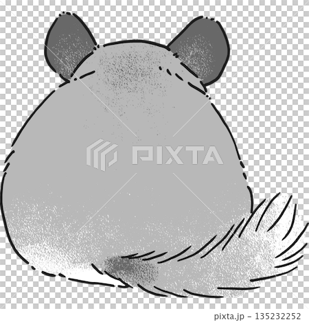 手繪插圖,一隻龍貓坐在地板上。 手繪插圖,一隻龍貓坐在地板上。 135232252