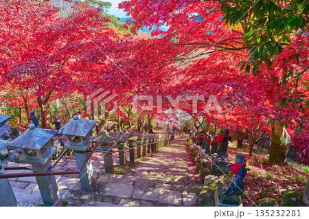 秋の神奈川県伊勢原市の大山寺の石段上から童子像と紅葉を見下ろす 135232281