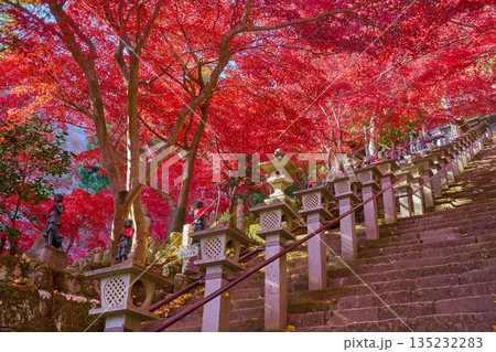 秋の神奈川県伊勢原市の大山寺の石段下から童子像と紅葉を見上げる 秋の神奈川県伊勢原市の大山寺の石段下から童子像と紅葉を見上げる 135232283