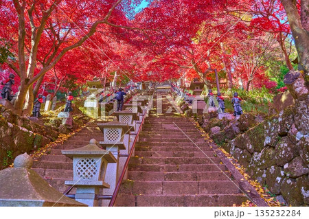 秋の神奈川県伊勢原市の大山寺の石段下から童子像と紅葉を見上げる 秋の神奈川県伊勢原市の大山寺の石段下から童子像と紅葉を見上げる 135232284