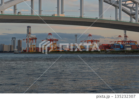 夕闇の大阪港・夢洲コンテナターミナルとガントリークレーンの点灯(物流・24時間稼働・夕景) 夕闇の大阪港・夢洲コンテナターミナルとガントリークレーンの点灯(物流・24時間稼働・夕景) 135232307