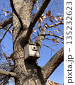 大木に鳥の巣箱 135232623