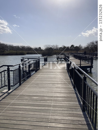 冬晴れの公園の池に架かる遊歩道 135232626