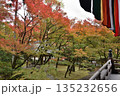 秋の永観堂禅林寺　御影堂から眺めるモミジ(京都市左京区) 135232656