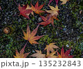 秋：紅葉（もみじ） 135232843