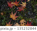 秋：紅葉（もみじ） 135232844