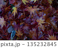 秋：紅葉（もみじ） 135232845