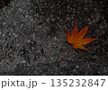 秋：紅葉（もみじ） 135232847