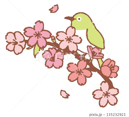 桜とメジロ 桜とメジロ 135232921