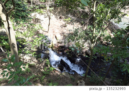 岡山後楽園 花交の滝(岡山県) 岡山後楽園 花交の滝(岡山県) 135232993
