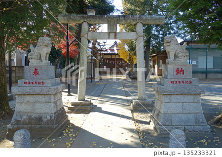武蔵平安神社(東京都国分寺市) 武蔵平安神社(東京都国分寺市) 135233321