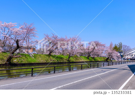 福島 相馬中村城址 外堀の桜 135233381