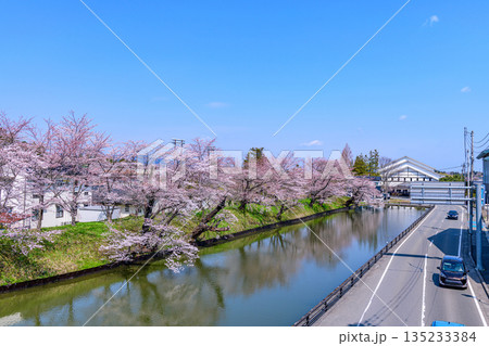 福島 相馬中村城址 外堀の桜 福島 相馬中村城址 外堀の桜 135233384