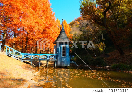 ムーミン谷の秋 135233512