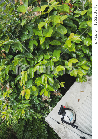 various various 135233641
