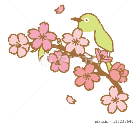 桜とメジロ 桜とメジロ 135233645
