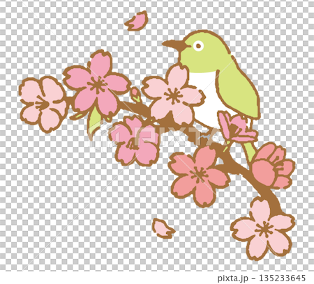 桜とメジロ 桜とメジロ 135233645