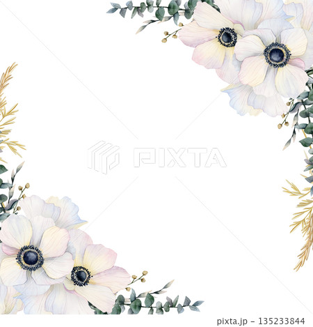 White wedding poppies frame with eucalyptus grass watercolor illustration isolated for delicate invitations, spring greeting cards and pastel women's day design. Floral square template with copy space 135233844