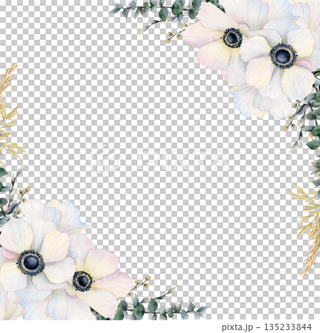 White wedding poppies frame with eucalyptus grass watercolor illustration isolated for delicate invitations, spring greeting cards and pastel women's day design. Floral square template with copy space 135233844