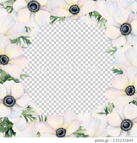 Watercolor white poppies flowers square frame isolated illustration. Wildflowers anemones template with copy space for pastel spring cards, spring wedding invitations or mothers day Watercolor white poppies flowers square frame isolated illustration. Wildflowers anemones template with copy space for pastel spring cards, spring wedding invitations or mothers day 135233845