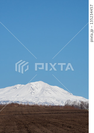 春の晴れた日の畑と雪山の山頂　大雪山 135234457