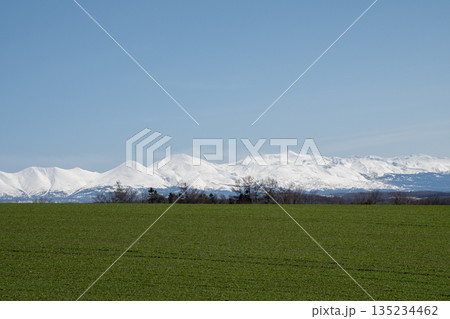 春の晴れた日の緑のムギ畑と雪山の連山 十勝岳連峰 春の晴れた日の緑のムギ畑と雪山の連山 十勝岳連峰 135234462