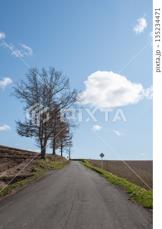 春の青空と畑の中を通る道 135234471