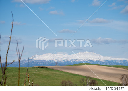 春の畑作地帯と雪山　大雪山 135234472