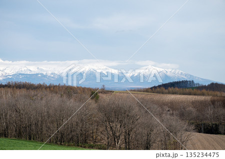 春の丘陵地帯と雪の山並み 十勝岳連峰 春の丘陵地帯と雪の山並み 十勝岳連峰 135234475