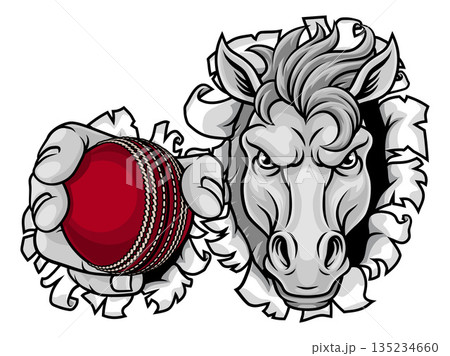 Horse Mustang Cricket Sports Team Mascot Horse Mustang Cricket Sports Team Mascot 135234660