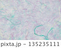 紙素材　和紙　洋紙　テクスチャー 135235111