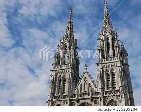 聖ピーターとポール教会  （ベルギー・オステンド） 135235284