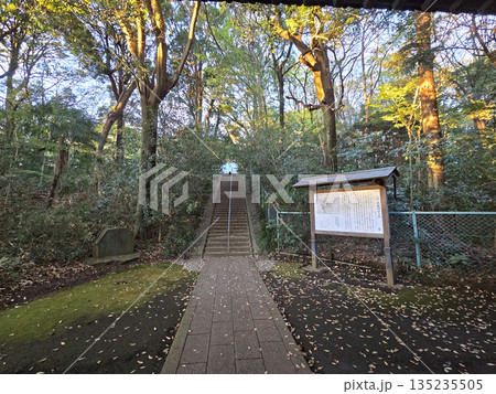 武蔵国分寺 薬師堂【東京都国分寺市】 武蔵国分寺 薬師堂【東京都国分寺市】 135235505
