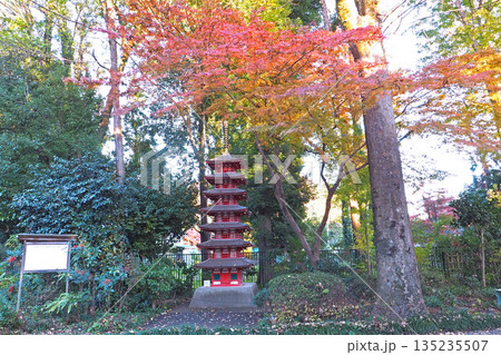 武蔵国分寺跡資料館 七重塔推定復元模型【東京都国分寺市】 武蔵国分寺跡資料館 七重塔推定復元模型【東京都国分寺市】 135235507