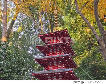 武蔵国分寺跡資料館 七重塔推定復元模型【東京都国分寺市】 武蔵国分寺跡資料館 七重塔推定復元模型【東京都国分寺市】 135235518