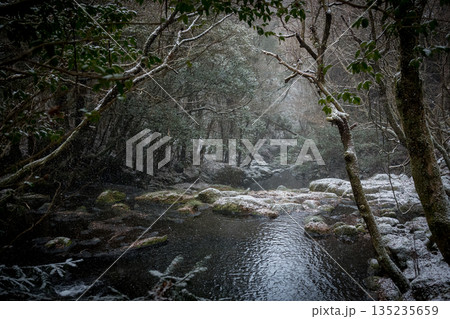 冬の菊池渓谷 冬の菊池渓谷 135235659