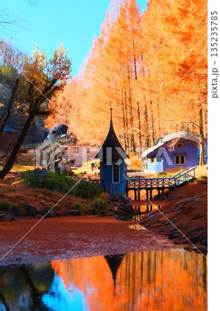 ムーミン谷の秋 135235785