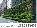 壁面緑化で温暖化対策 壁面緑化で温暖化対策 135235956
