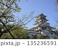 愛媛県今治市　晴天の今治城 135236591