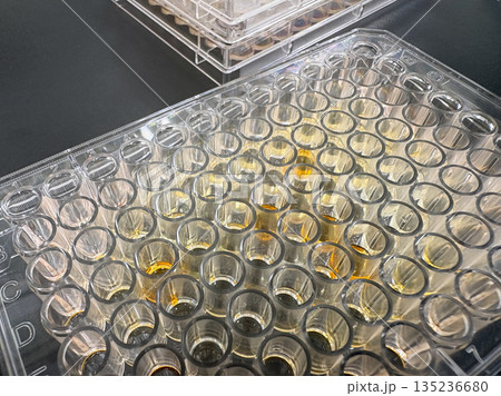 マイクロウェルプレート マイクロウェルプレート 135236680