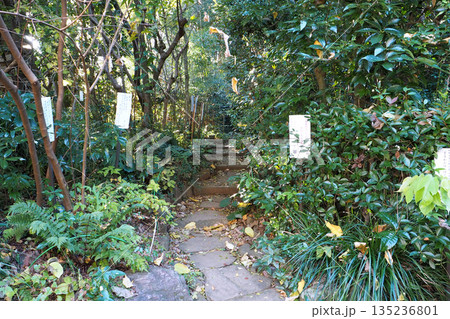 武蔵国分寺の万葉庭園【東京都国分寺市】 武蔵国分寺の万葉庭園【東京都国分寺市】 135236801