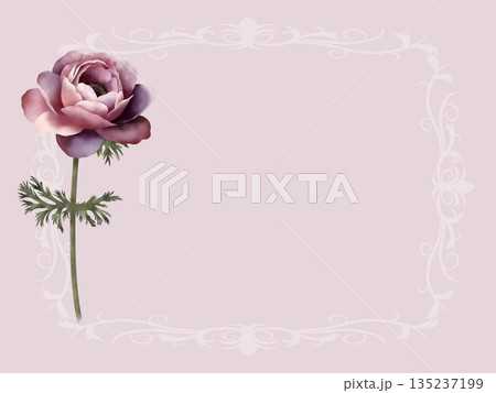 アネモネの背景　A-2 135237199