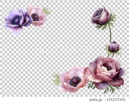 銀蓮花背景 B-1 135237201