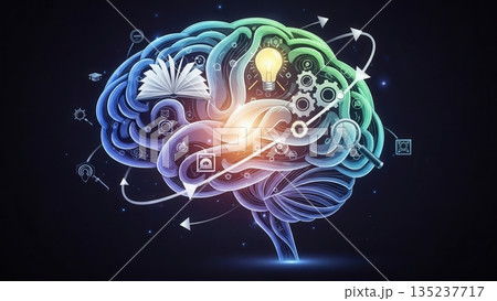 Brain data visualization, Visual representation of neural activity and data flow in brain networks 135237717