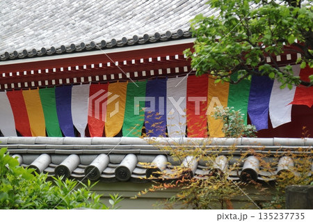 浅草寺 浅草寺 135237735